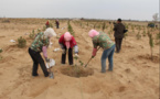 Wetlands thrives in desert in Ningxia’s Yanchi county