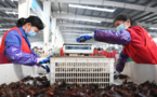 Crayfish industry in Hubei province ready to boom 