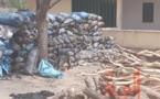 Tchad : 600 sacs de charbon et 5 véhicules chargés de bois interceptés au Ouaddaï