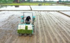 Young people return to hometown to vitalize farmlands in central China’s Hunan