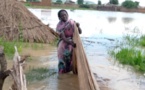 Tchad : l'UNDR appelle à un élan de solidarité aux sinistrés d'inondations