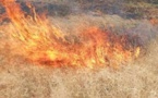 Tchad : un feu de brousse fait des dégâts dans le département de Ouadi-Rimé