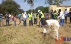 Tchad : une journée citoyenne de salubrité à l'Université polytechnique de Mongo