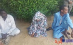 Tchad : enfant de 12 ans égorgé par un marabout, trois arrestations dont une femme