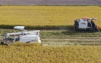 Unmanned farm projects boost development of smart agriculture in China