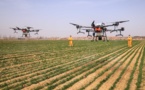 Policies, technologies contribute big part to China's spring farming