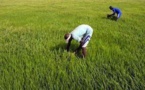 Un ex-banquier nigérian se reconvertit en éleveur de volailles et devient un champion de l’agriculture