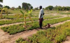 Tchad : la ferme intégrée de Laï est aujourd'hui une réalité