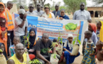 Tchad : l’ONG ASHAD plante des arbres dans 50 ménages à Klessoum