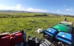 Chinese commercial drones favored by South African farmers