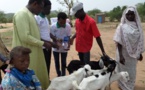 Tchad : l’ONG Guéra Touristique offre 585 têtes de petits ruminants à la population de Korko