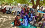 Tchad : Guéra Touristique appuie les groupements féminines et filles-mères du Batha