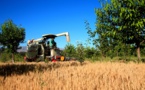 More harvests but less water consumption in China