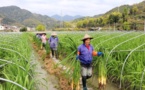 ‘Digital village’ makes agriculture smarter in east China’s Zhejiang