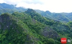 Gross ecosystem product of tropical rainforest national park in Hainan exceeds 204.5 billion yuan