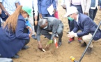 Congo : la journée nationale de l’arbre couplée au lancement officiel du projet Bacasi