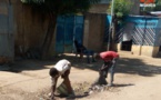 Tchad : ils sacrifient leur vie dans les poubelles au détriment de l'école