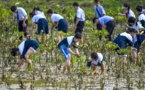 China achieves notable results in mangrove forest protection and restoration