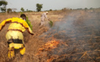 Tchad : dans les villages, la lutte contre les feux de brousse se heurte aux mauvaises habitudes