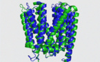 Progress made in AI-powered prediction of protein structures