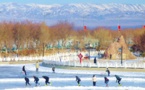 Xinjiang promotes high-quality development of winter economy