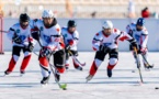 China realizes goal of engaging 300 million people in ice and snow sports