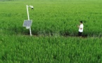 China employs digital technology for rural vitalization