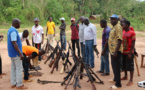 Centrafrique : d'ex-combattants restituent leurs armes