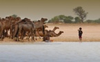 Tchad : Le parc de Zakouma, une ressource touristique inexploitée