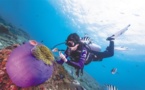 Sanya in S China sees steady progress of coral reef protection