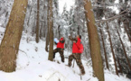 China recruits 2 million forest rangers that protect ecological barriers