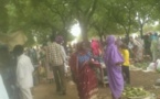 Tchad : Préparatifs de la fête de Ramadan dans les provinces