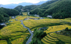 Ancient terraces in E China included on World Heritage Irrigation Structures List