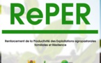 Tchad : Le Projet RePER recrute un Consultant pour une étude APS et APD de marchés à bétail (AMI n°066)