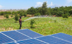 Le solaire pour l'agriculture : une centrale solaire inaugurée au Sénégal