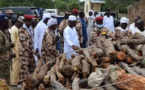 Tchad : Des individus interpellés pour destruction de l’environnement à Massakory