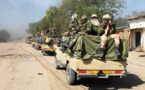 Nigeria : L'offensive tchado-nigérienne prend fin, le ratissage se poursuit 