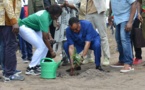 Congo : la lutte contre les érosions au coeur de la 37ème journée nationale de l'arbre