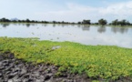 Tchad: L'importance de la réhabilitation des mares de Marmari et de Matar pour l'accès à l'eau en Ouaddai