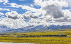 Ecology well protected along Qinghai-Xizang Railway, Highway