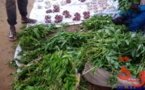 Tchad : attention aux maladies liées à l'hygiène des légumes et feuilles en saison des pluies