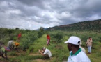 Andrew Millison : Du Pacifique au Sahel, un expert en permaculture révèle les trésors agricoles du Tchad