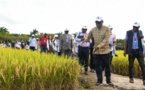 China, Africa continue deepening cooperation in tropical agricultural science, technology