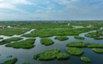 China works to better protect global bird migration routes