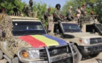 Tchad : Les forces tchadiennes vont bientôt intégrer la Mission internationale de sécurité en Haïti