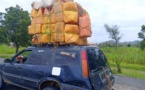 Cameroun : le carburant frelaté alimente la région de l’Extrême-Nord