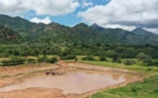 Tchad : La forêt de Tabo et sa mare pastorale, des exemples remarquables de revitalisation écologique