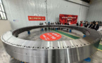 How two bearings mirror upgrading of China's manufacturing