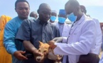 Tchad : Vaccination gratuite des chiens contre la rage à N'Djamena