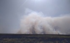 Tchad - Alerte incendie : La réserve de faune de Ouadi Rimé-Ouadi Achim menacée